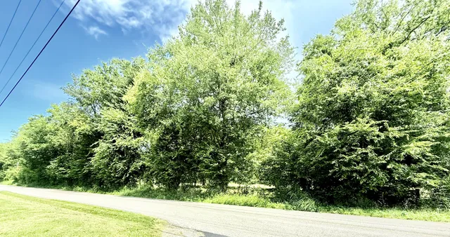 a view of a yard with plants and wooden fence