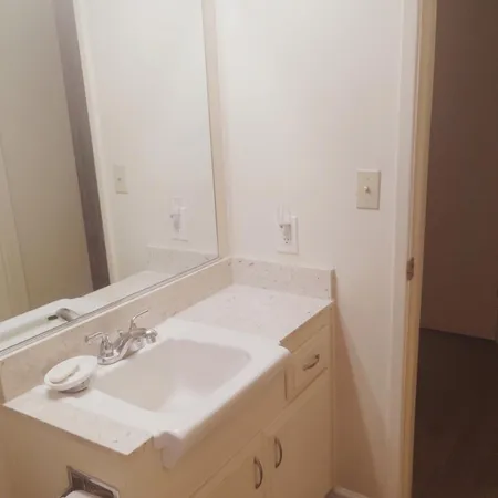 a bathroom with a sink and a mirror