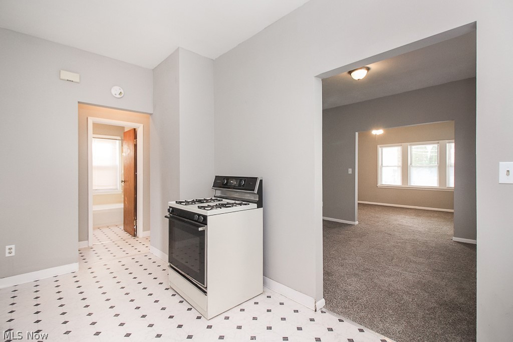 825 Alhambra Road, Unit 1/DN Cleveland, OH 44110 - Photo 13 of 28