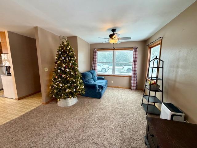 140 2nd Avenue Southwest Spring Grove, MN 55974 - Photo 3 of 13