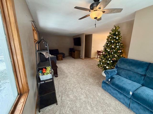 140 2nd Avenue Southwest Spring Grove, MN 55974 - Photo 4 of 13