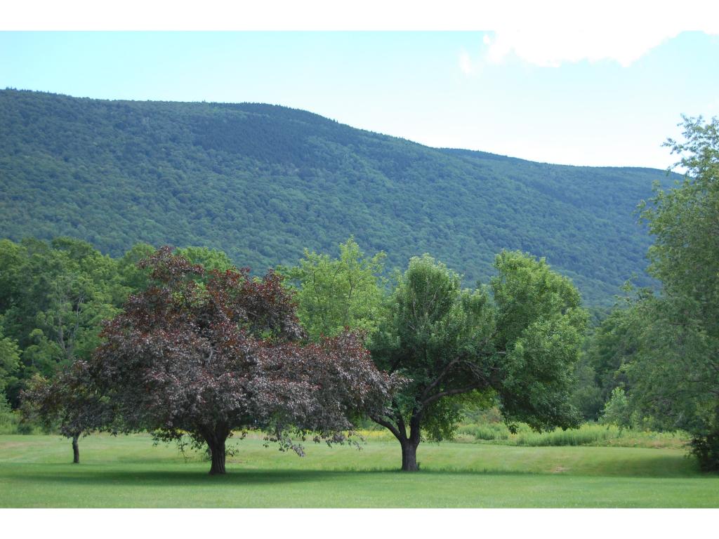 433 Brooklyn Road Mount Tabor, VT 05739 - Photo 2 of 16 Gallery Image 2