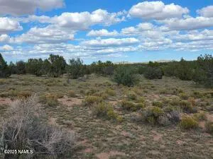 a view of a field with trees in the background