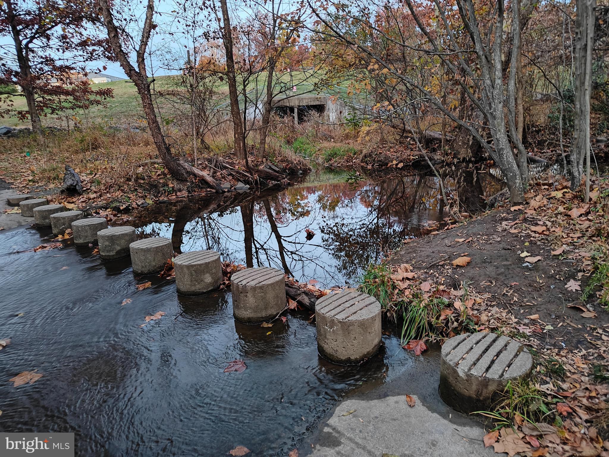 2393 Liberty Loop Herndon, VA 20171 - Photo 45 of 45 a view of a backyard with table and chairs potted plants and large tree