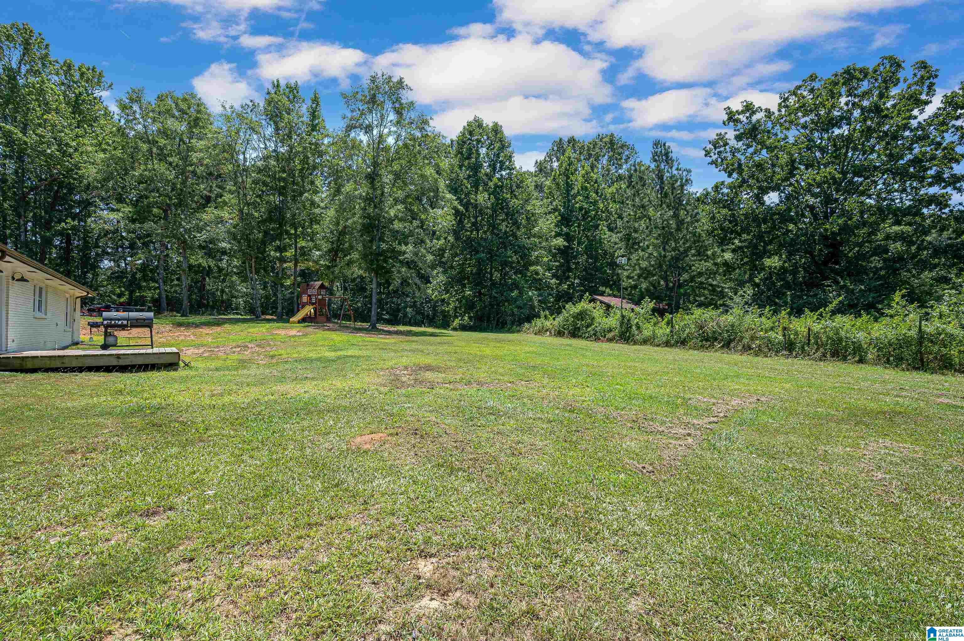 3419 Old Coal City Road Pell City, AL 35125 - Photo 40 of 47