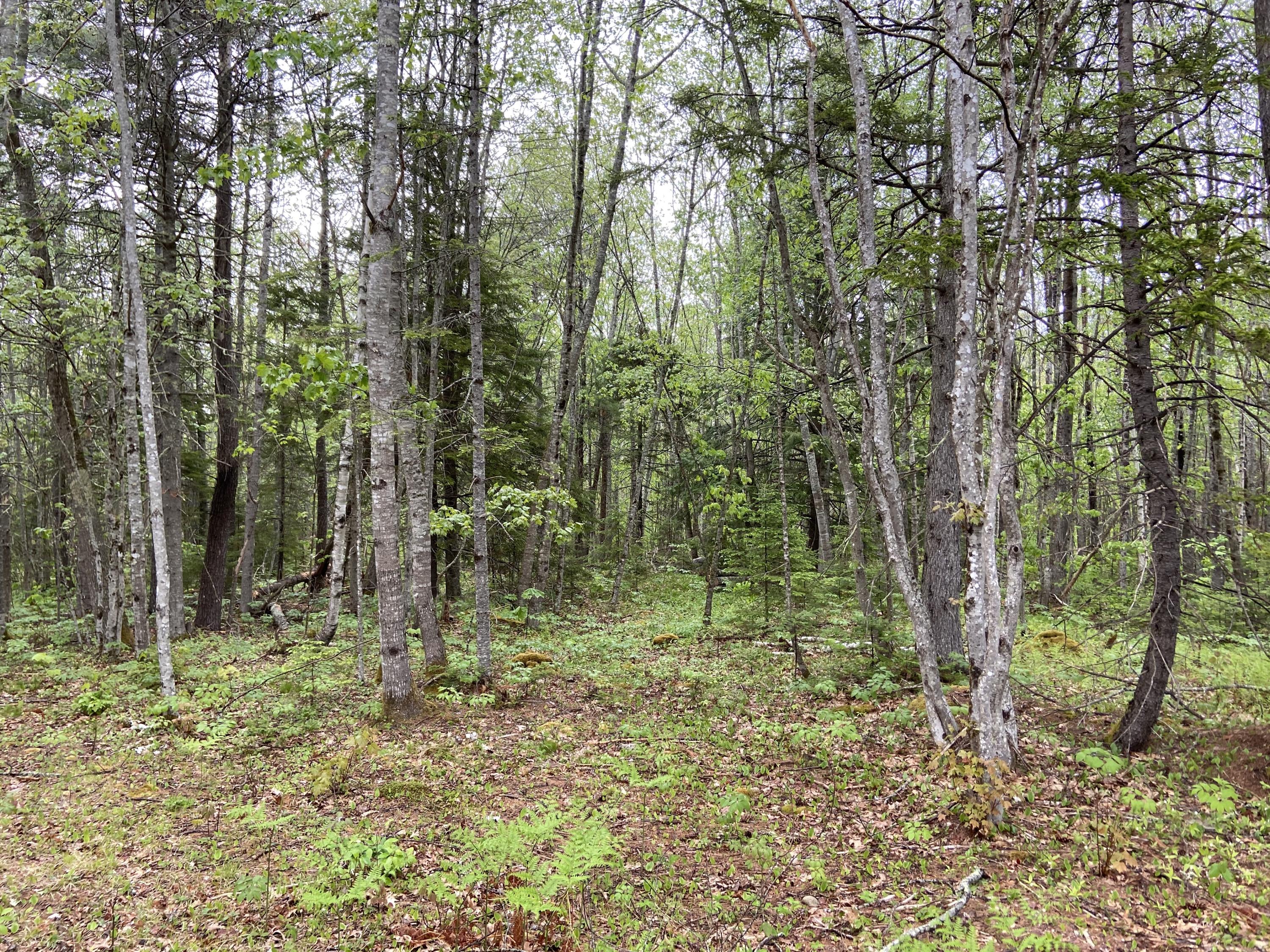 1 Will Butler Lane Bremen, ME 04551 - Photo 5 of 16 IMG_1413
