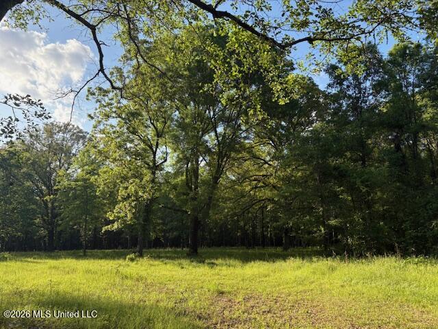 Mudline Rd Lake Lake, MS 39092 - Photo 11 of 27 IMG_7133