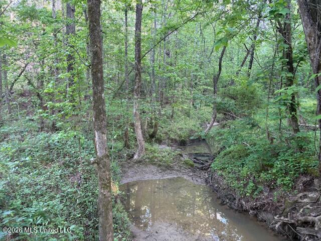 Mudline Rd Lake Lake, MS 39092 - Photo 12 of 27 IMG_7142