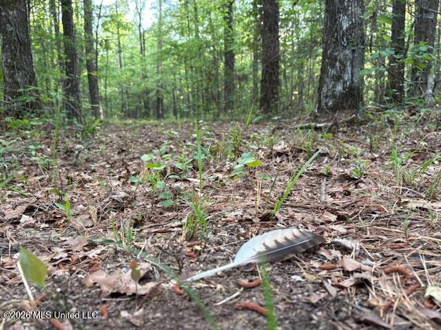 Mudline Rd Lake Lake, MS 39092 - Photo 15 of 27 IMG_7153