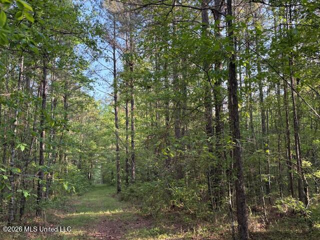 Mudline Rd Lake Lake, MS 39092 - Photo 16 of 27 IMG_7154