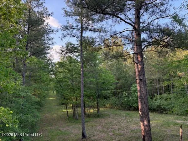 $229,900 | Mudline Rd Lake, Lake, MS 39092