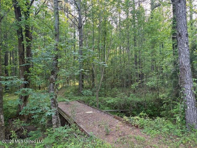 Mudline Rd Lake Lake, MS 39092 - Photo 2 of 27 IMG_7138