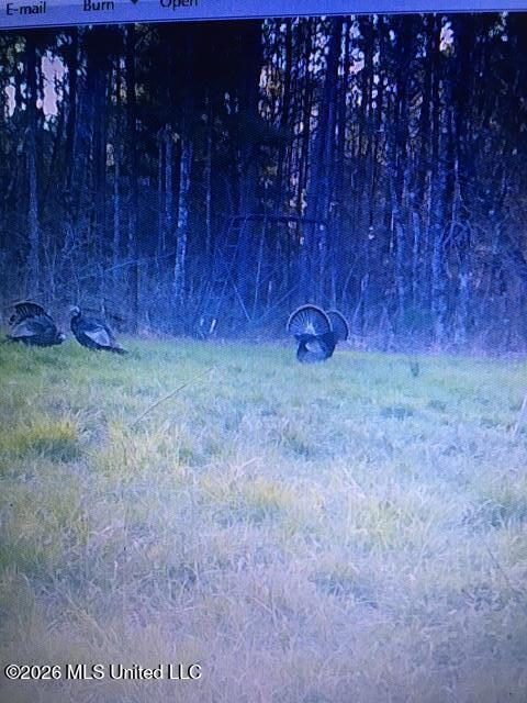 Mudline Rd Lake Lake, MS 39092 - Photo 23 of 27 IMG_6131