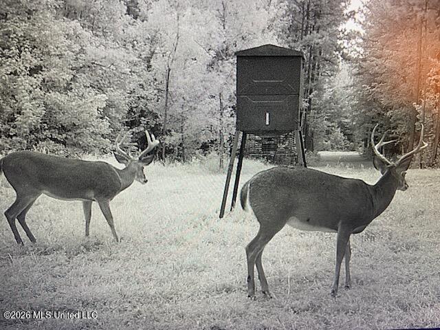 Mudline Rd Lake Lake, MS 39092 - Photo 27 of 27 IMG_9796
