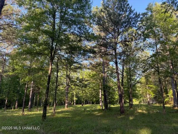 $229,900 | Mudline Rd Lake, Lake, MS 39092