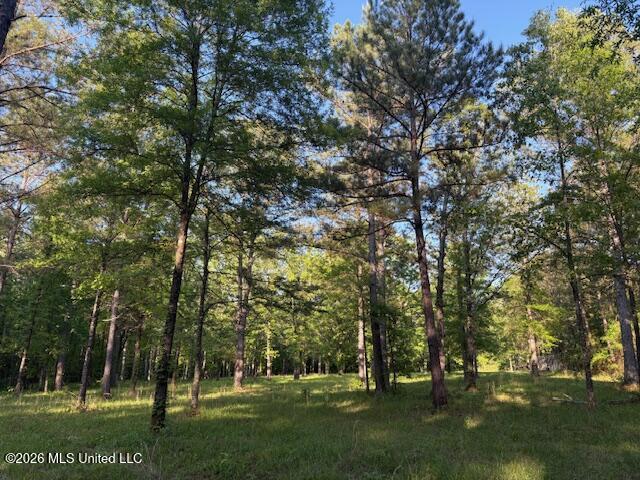 Mudline Rd Lake Lake, MS 39092 - Photo 3 of 27 IMG_7135