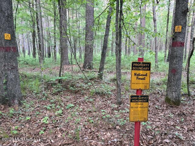 Mudline Rd Lake Lake, MS 39092 - Photo 4 of 27 IMG_7199