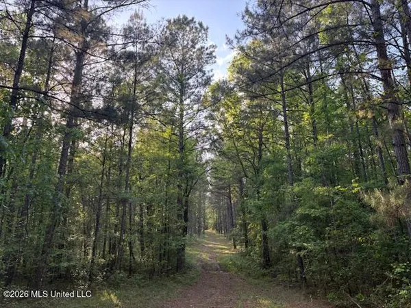 $229,900 | Mudline Rd Lake, Lake, MS 39092