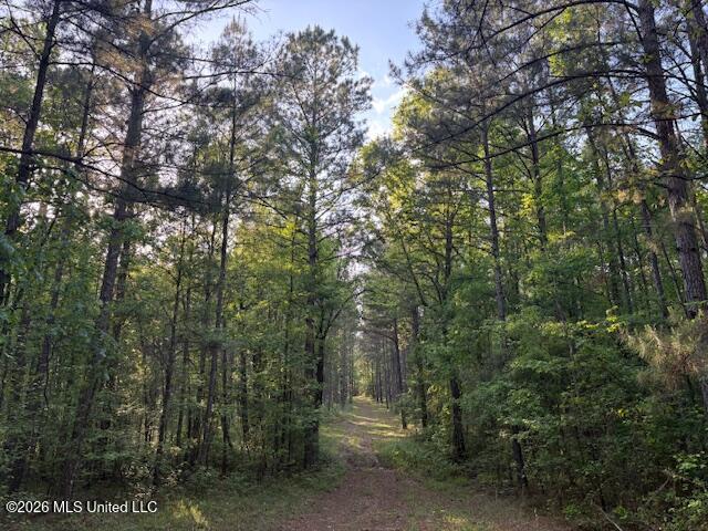 Mudline Rd Lake Lake, MS 39092 - Photo 7 of 27 IMG_7136