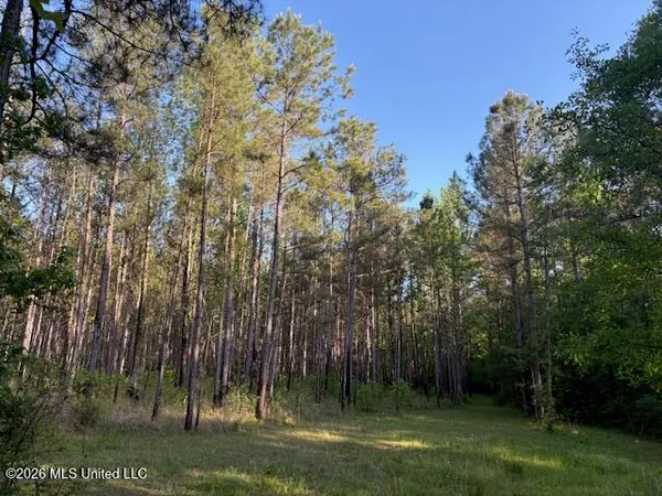$229,900 | Mudline Rd Lake, Lake, MS 39092