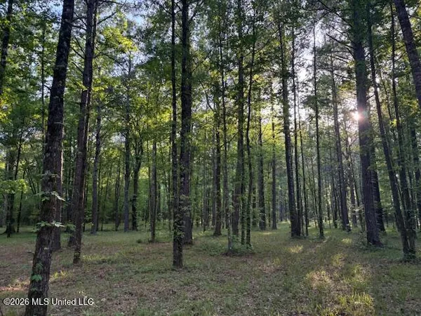 $229,900 | Mudline Rd Lake, Lake, MS 39092