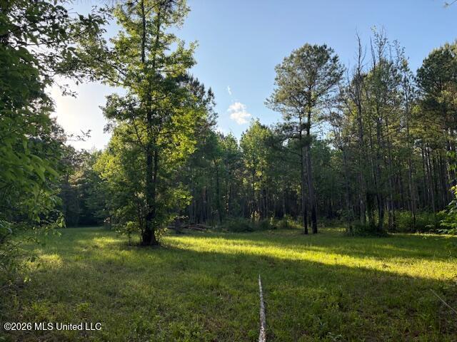 Mudline Rd Lake Lake, MS 39092 - Photo 10 of 27 IMG_7141