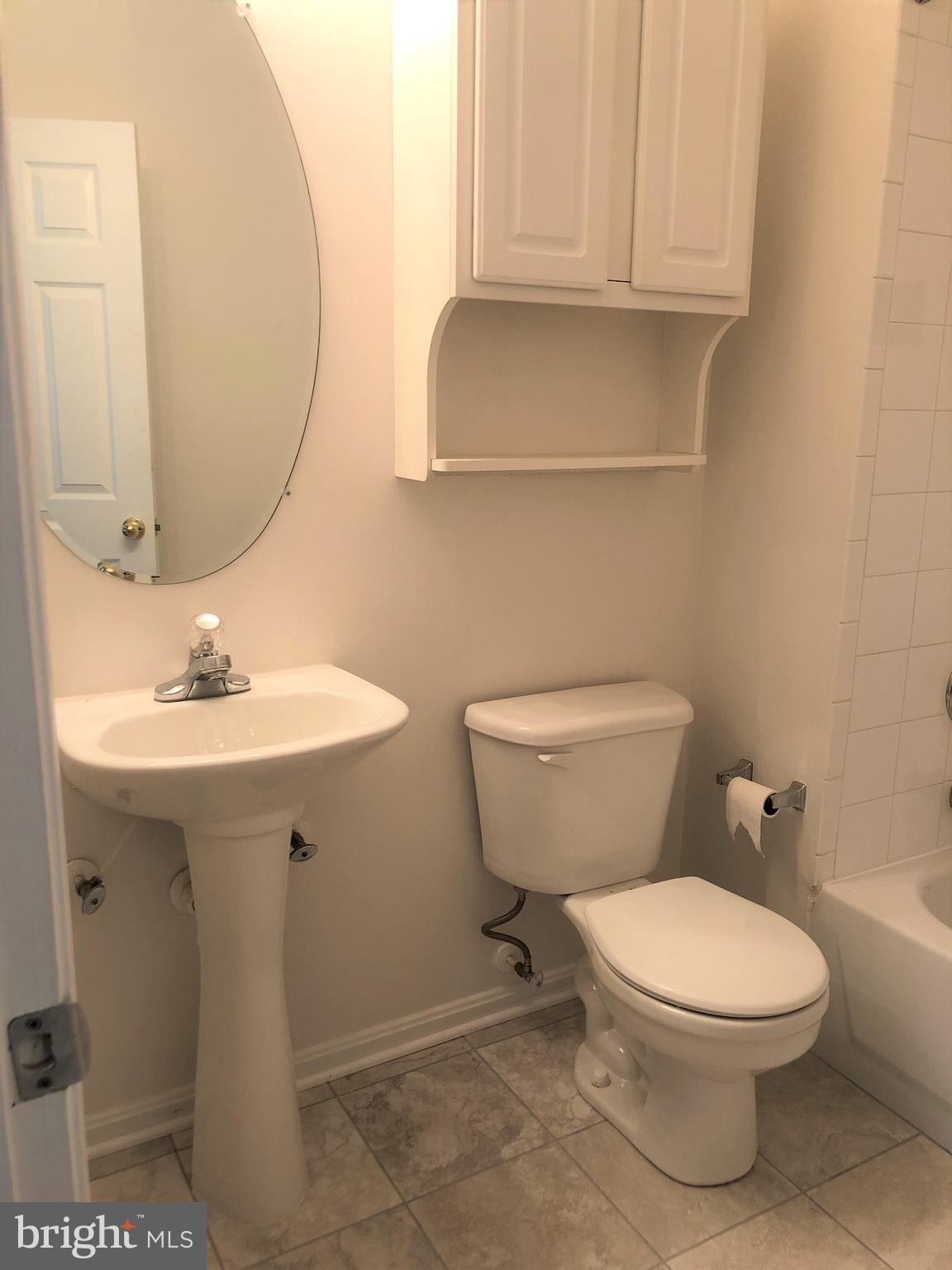 21762 Dragons Green Square Ashburn, VA 20147 - Photo 11 of 17 Hall Bathroom