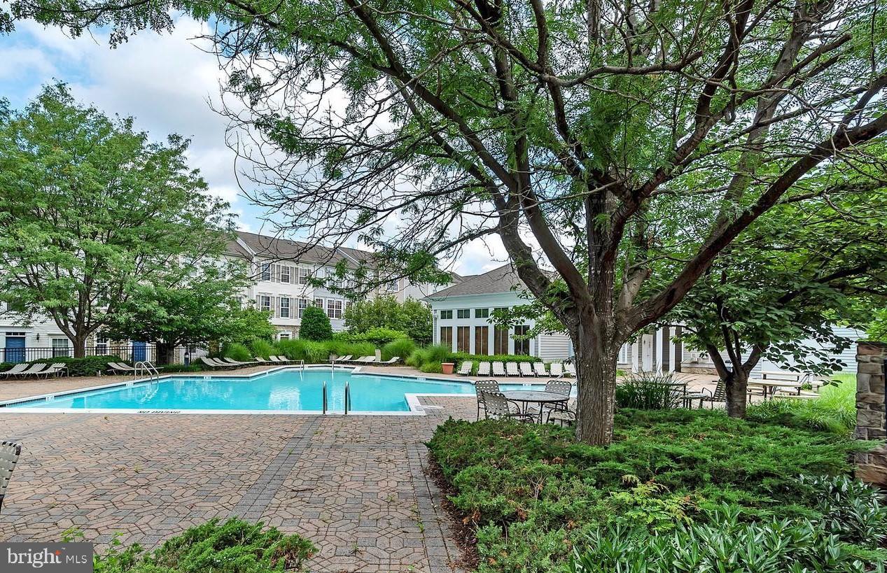 21762 Dragons Green Square Ashburn, VA 20147 - Photo 16 of 17 Community Outdoor Swimming Pool