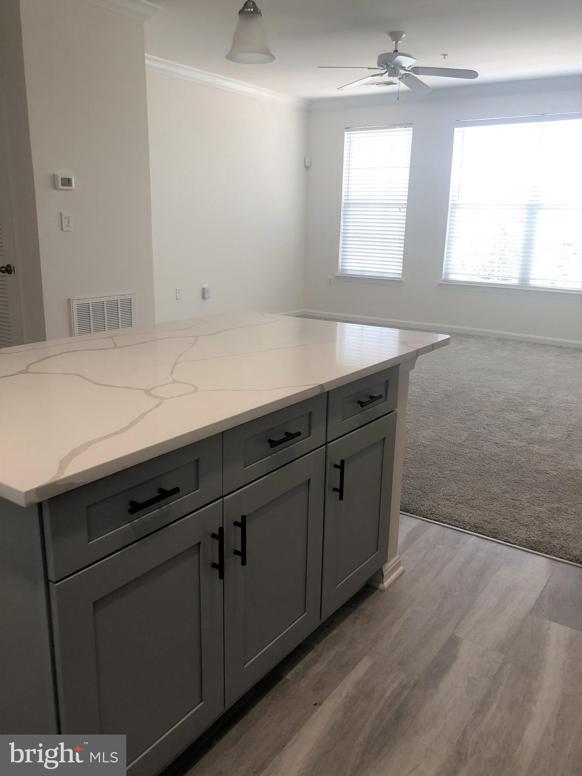 21762 Dragons Green Square Ashburn, VA 20147 - Photo 7 of 17 Large Kitchen Island with Quartz Countertop
