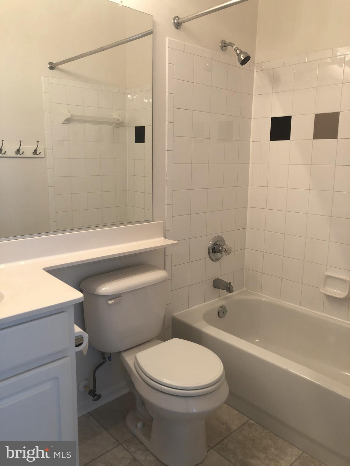 21762 Dragons Green Square Ashburn, VA 20147 - Photo 9 of 17 Primary Bathroom