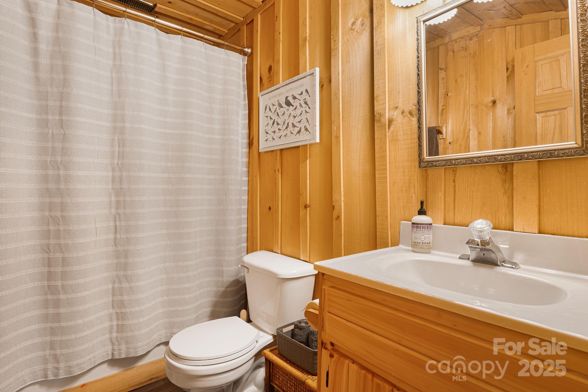 2255 Wolf Laurel Road Mars Hill, NC 28754 - Photo 29 of 48