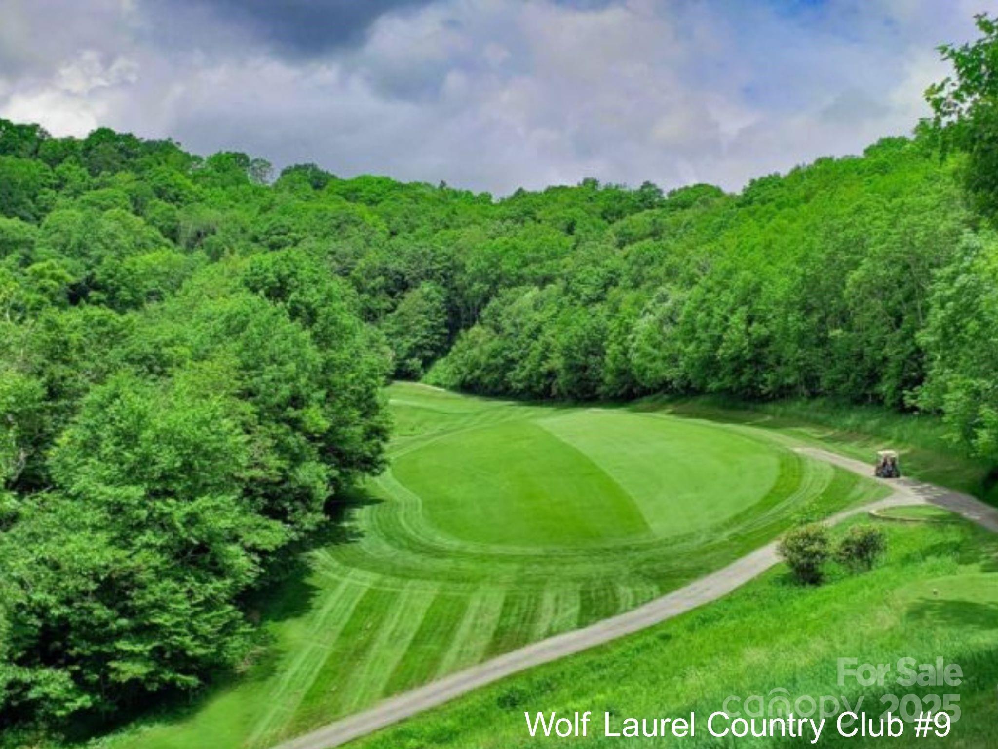 2255 Wolf Laurel Road Mars Hill, NC 28754 - Photo 41 of 48