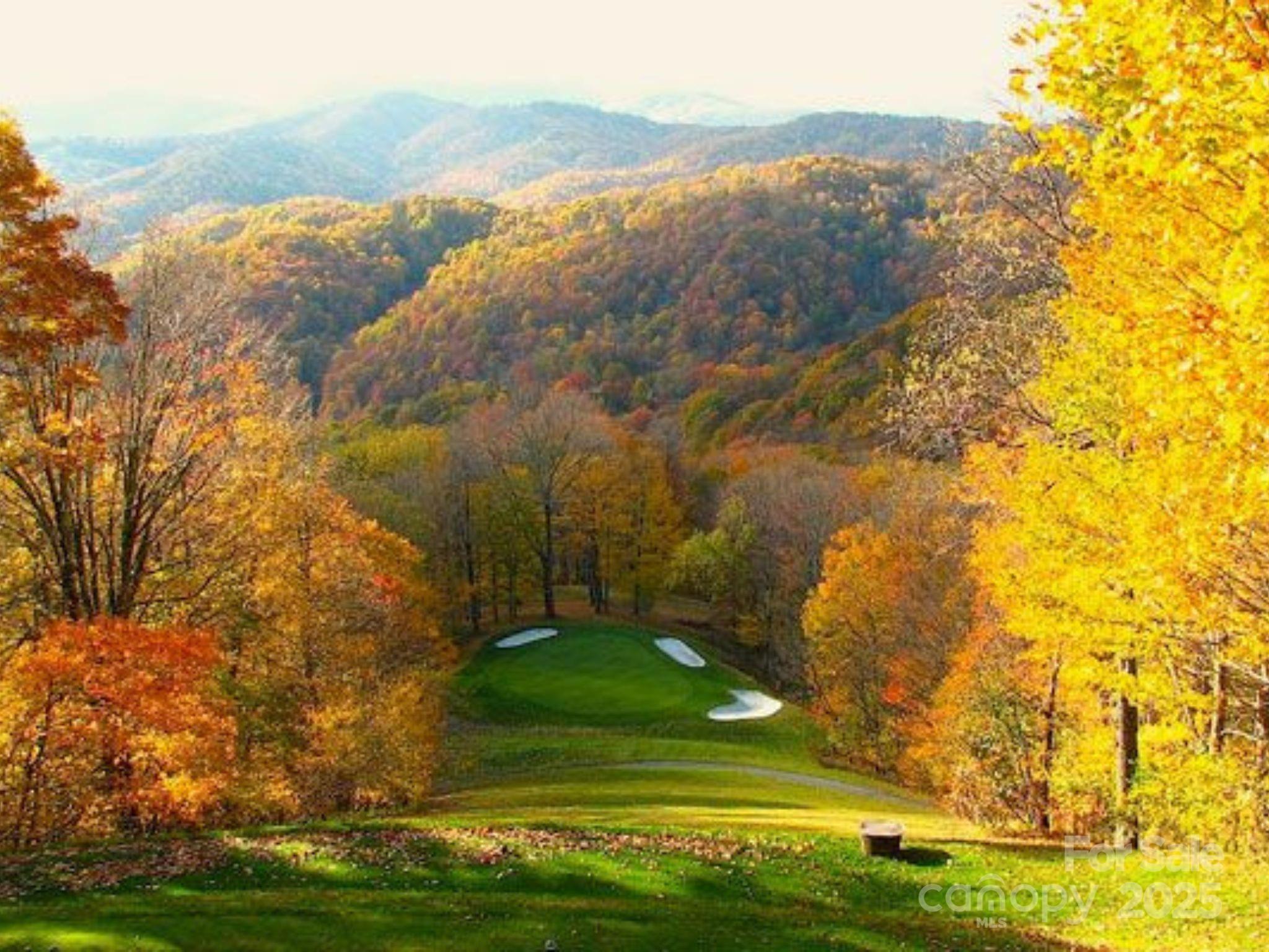 2255 Wolf Laurel Road Mars Hill, NC 28754 - Photo 42 of 48