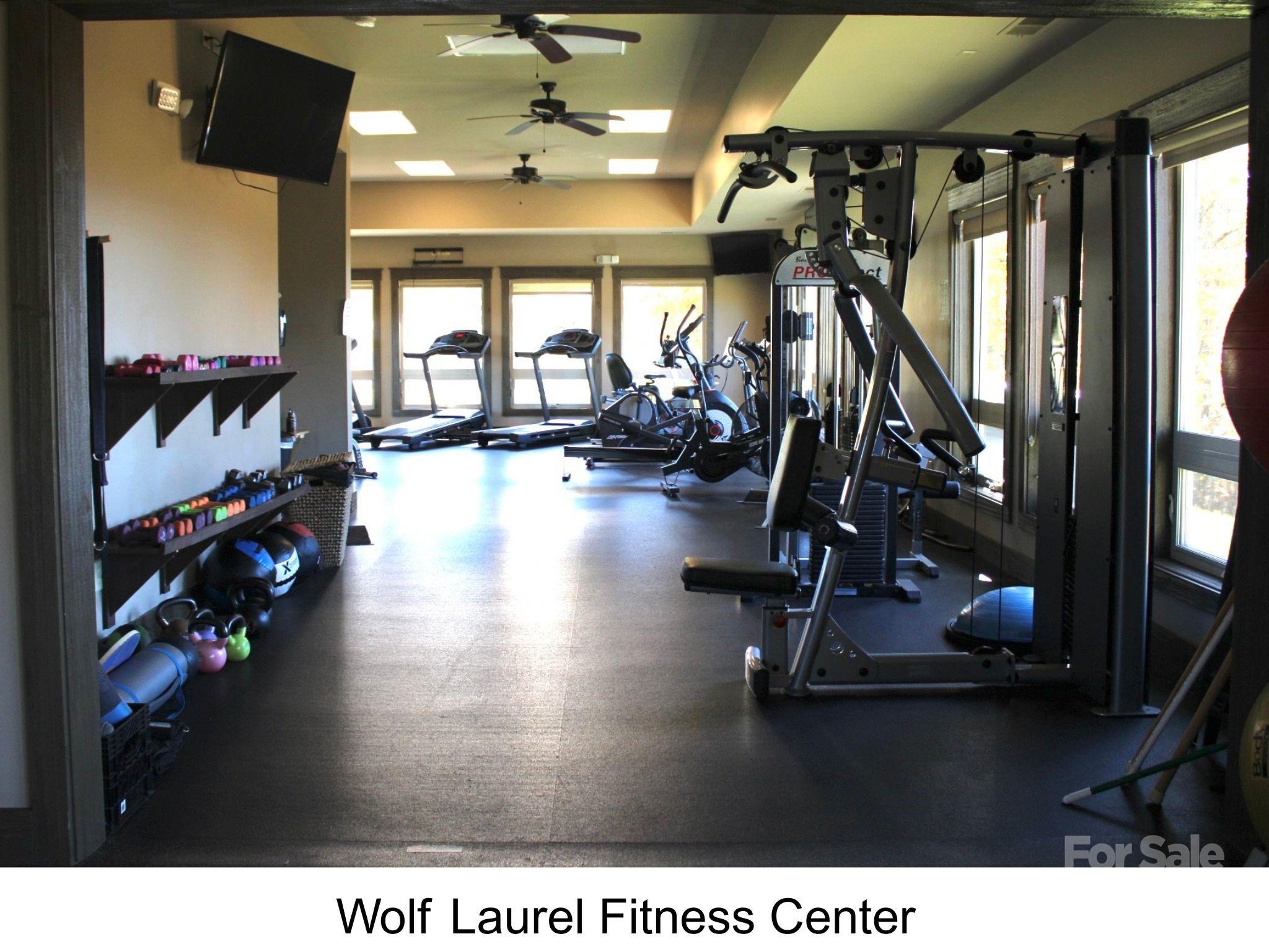 2255 Wolf Laurel Road Mars Hill, NC 28754 - Photo 44 of 48