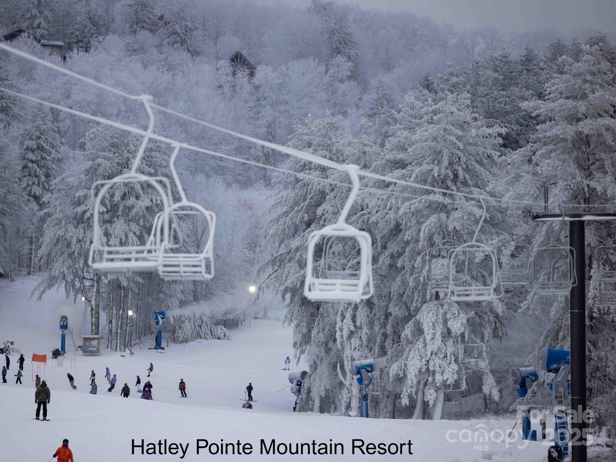 2255 Wolf Laurel Road Mars Hill, NC 28754 - Photo 46 of 48