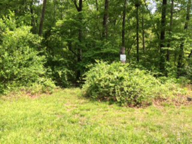 Lot 17 Hidden Lake Road Dalton, GA 30721 - Photo 1 of 1 Main View