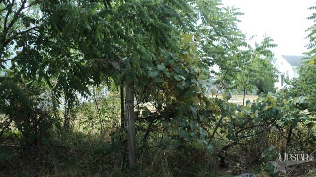 1525 Reckeweg Road Fort Wayne, IN 46804 - Photo 12 of 13