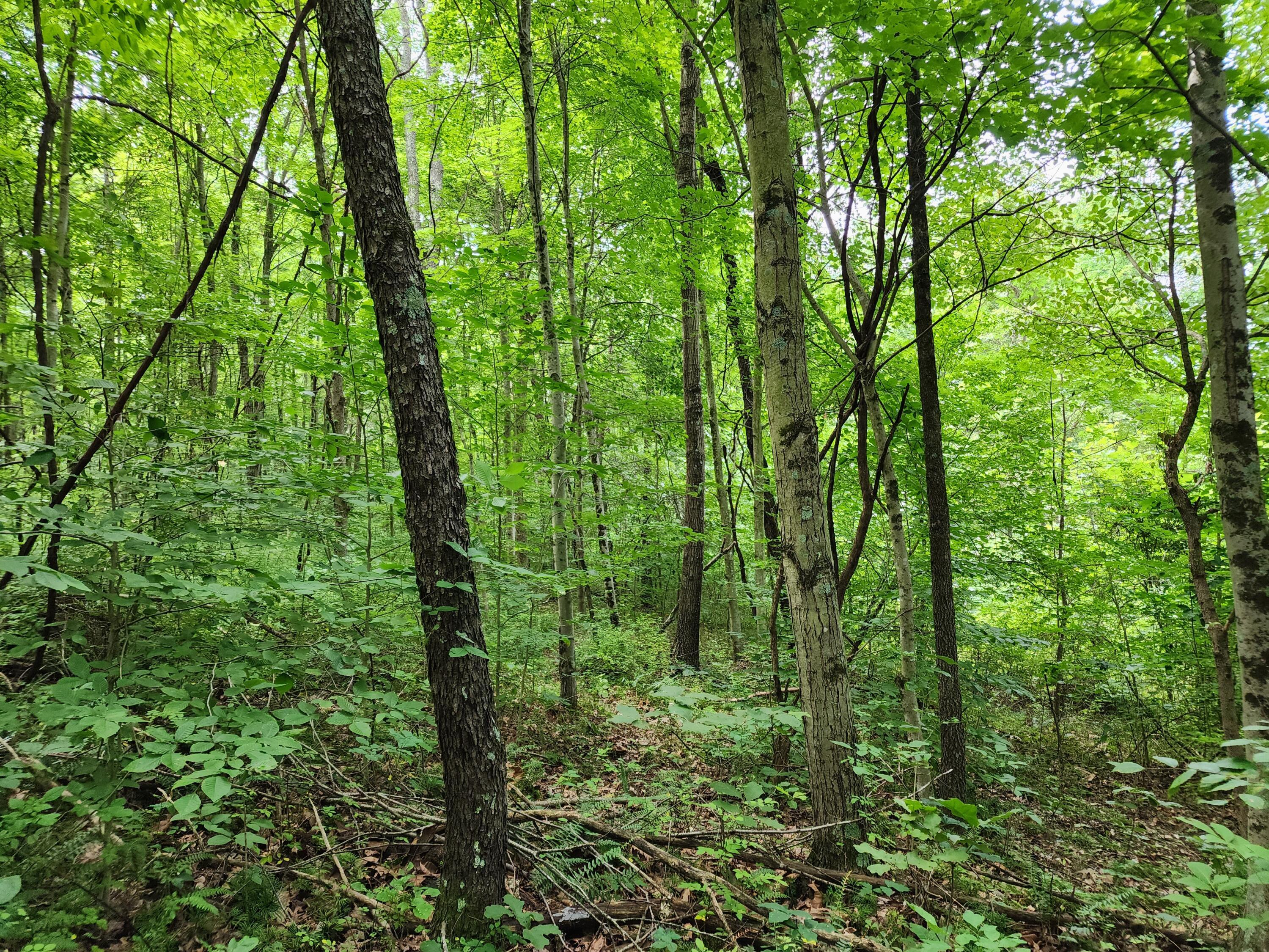 20036 Culp Road Logan, OH 43138 - Photo 20 of 39 20230720_111753