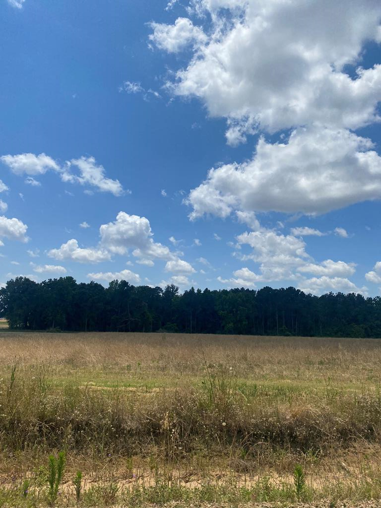 0 Hardy Road Dothan, AL 36301 - Photo 1 of 2 Main View