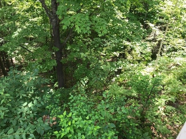 6645 Mission Ridge Traverse City, MI 49686 - Photo 13 of 28 1850630-12.JPG