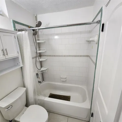 a bathroom with a shower and toilet
