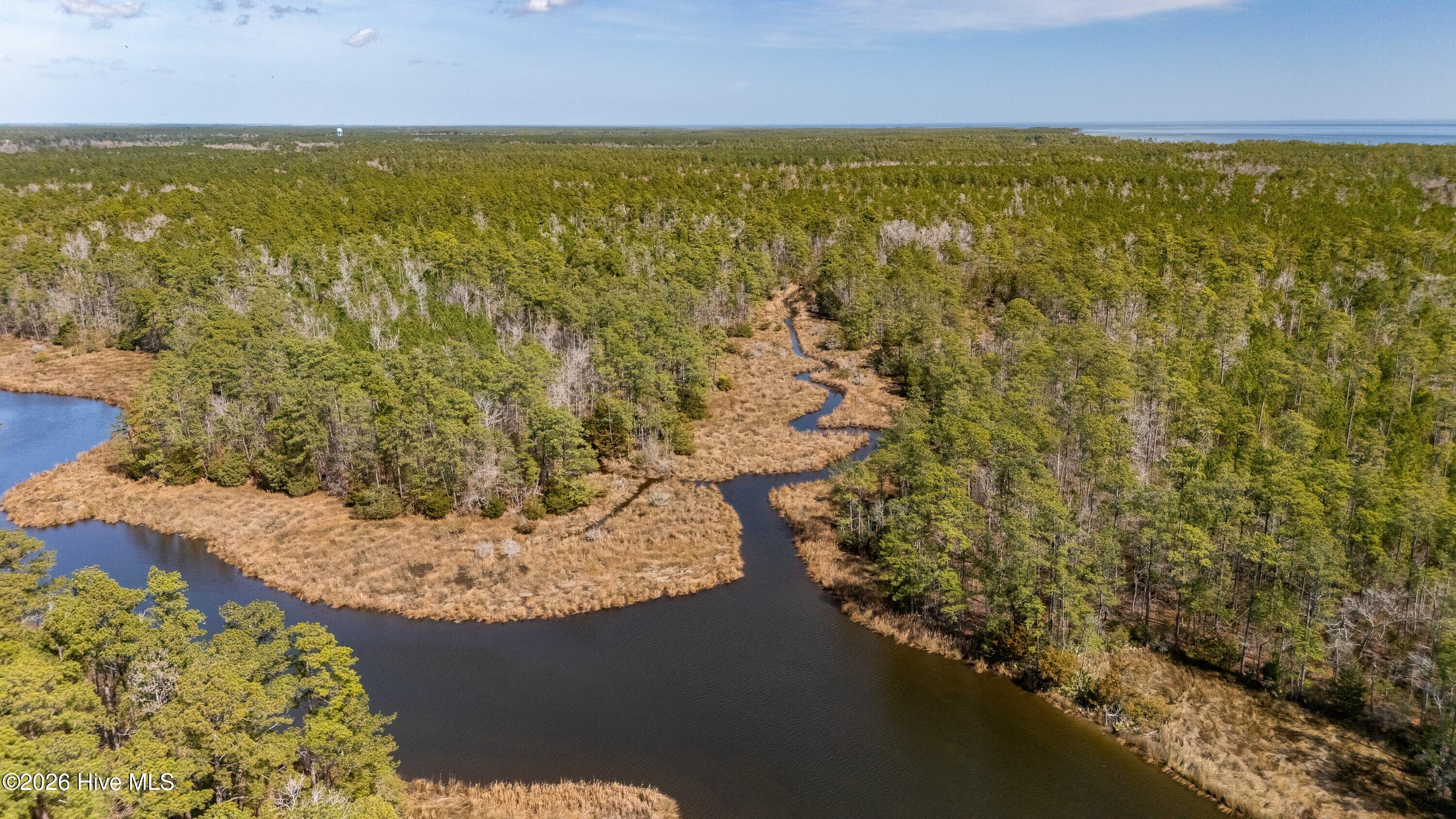 615 Bent Tree Road Oriental, NC 28571 - Photo 31 of 40 031_Aerial