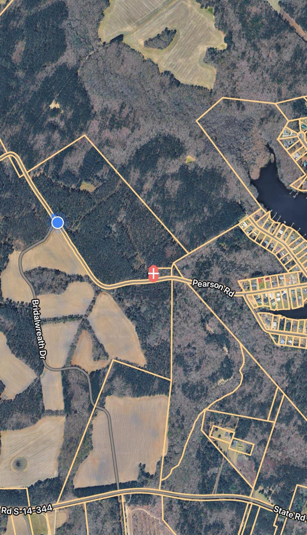 Tbd Pearson Road Summerton, SC 29148 - Photo 2 of 6