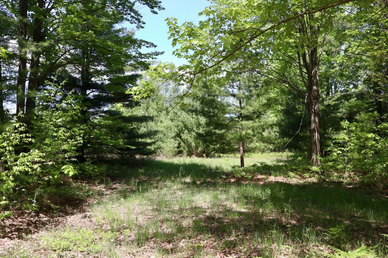 0 East Highwood Road Beaverton, MI 48612 - Photo 42 of 67 IMG_2512