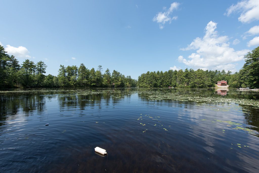 119 Russell Road Newfield, ME 04095 - Photo 4 of 36