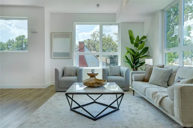 a living room with furniture and a potted plant