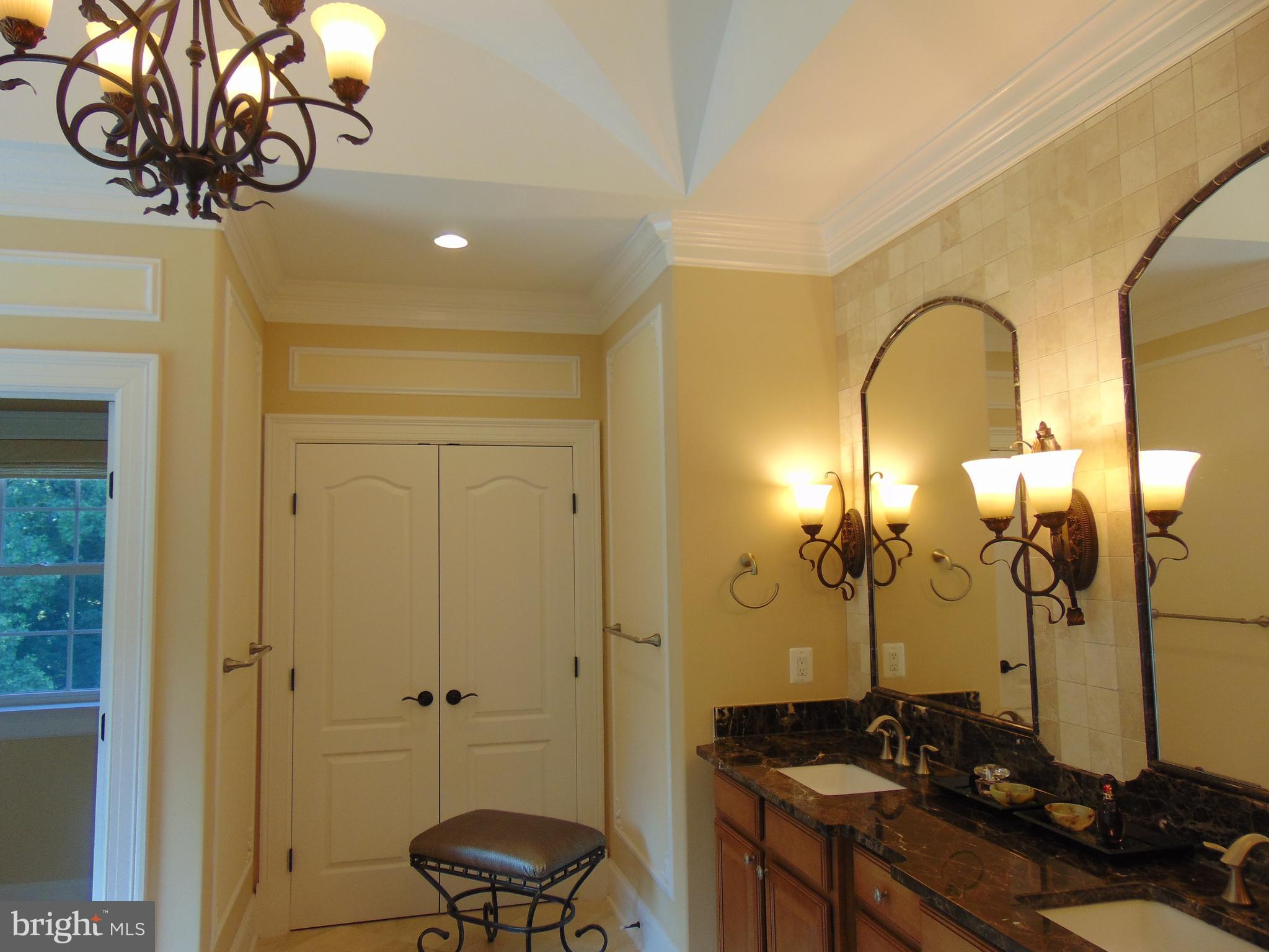 1027 Towlston Road McLean, VA 22102 - Photo 43 of 59 a bathroom with a sink and a mirror