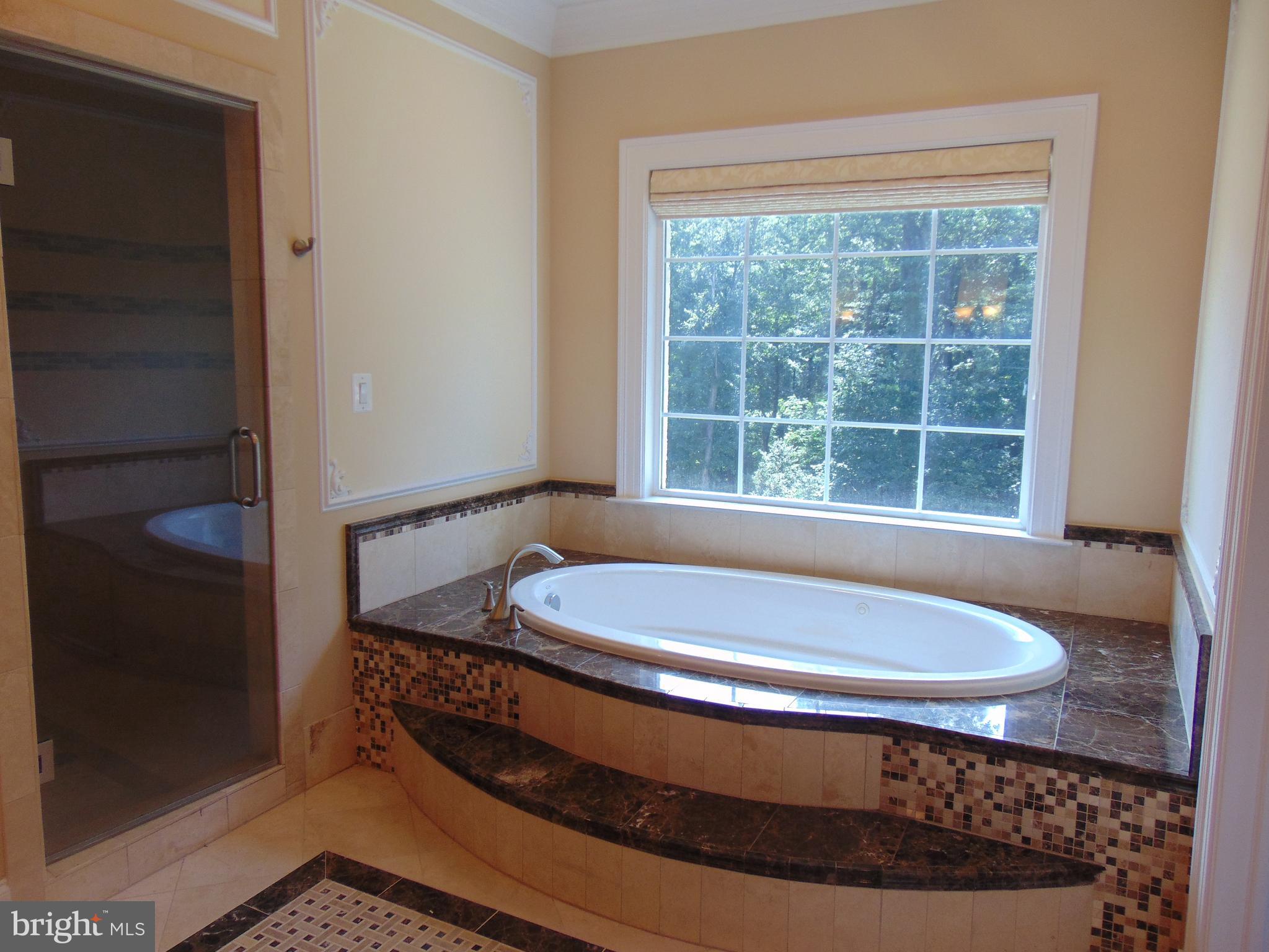 1027 Towlston Road McLean, VA 22102 - Photo 44 of 59 a bath tub sitting in a bathroom next to a window