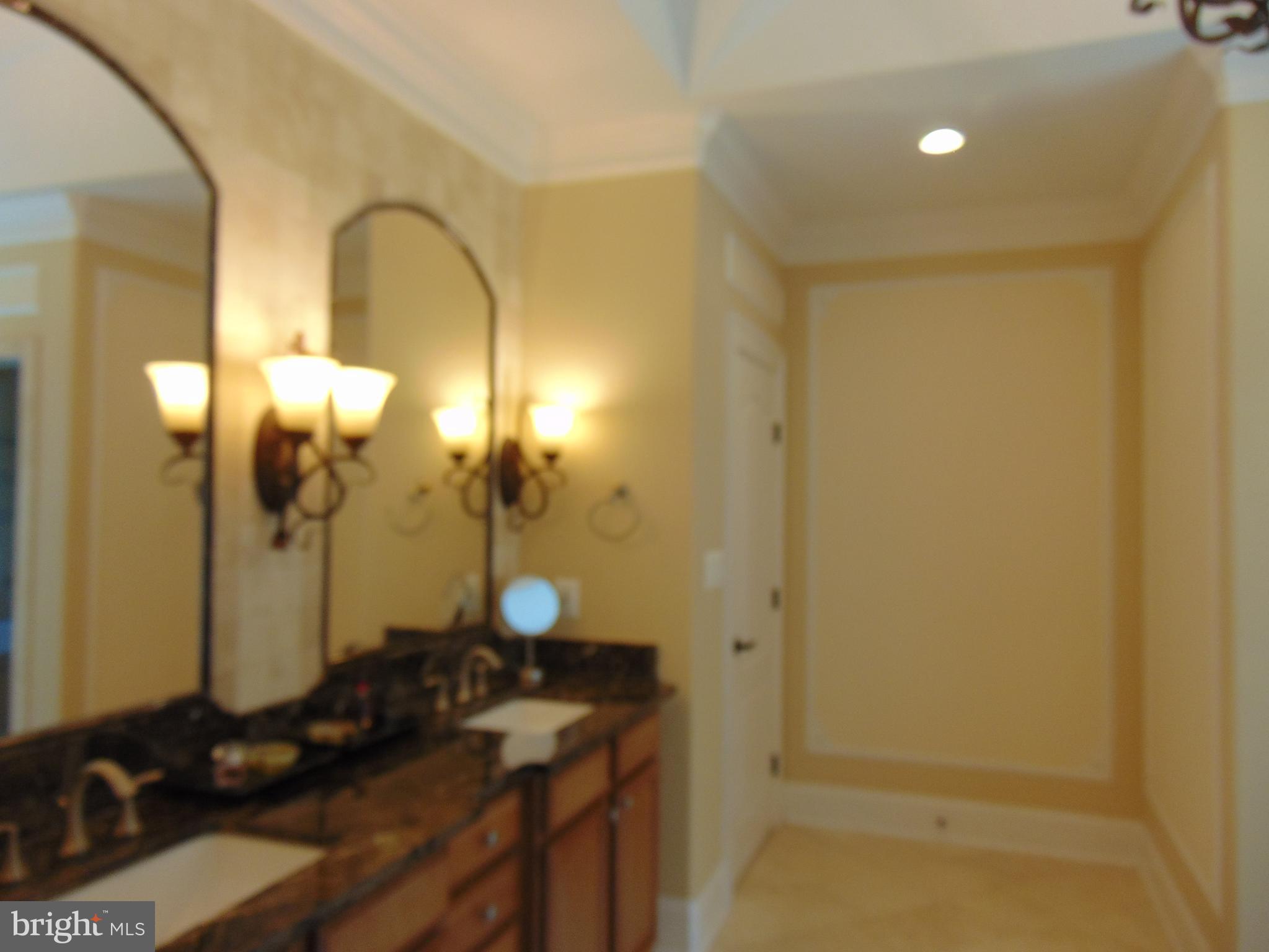 1027 Towlston Road McLean, VA 22102 - Photo 45 of 59 a bathroom with a granite countertop sink a mirror and a shower
