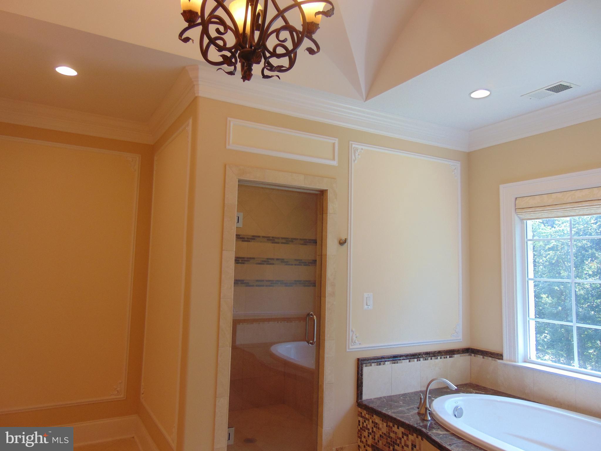 1027 Towlston Road McLean, VA 22102 - Photo 47 of 59 a bathroom with a sink a toilet and shower